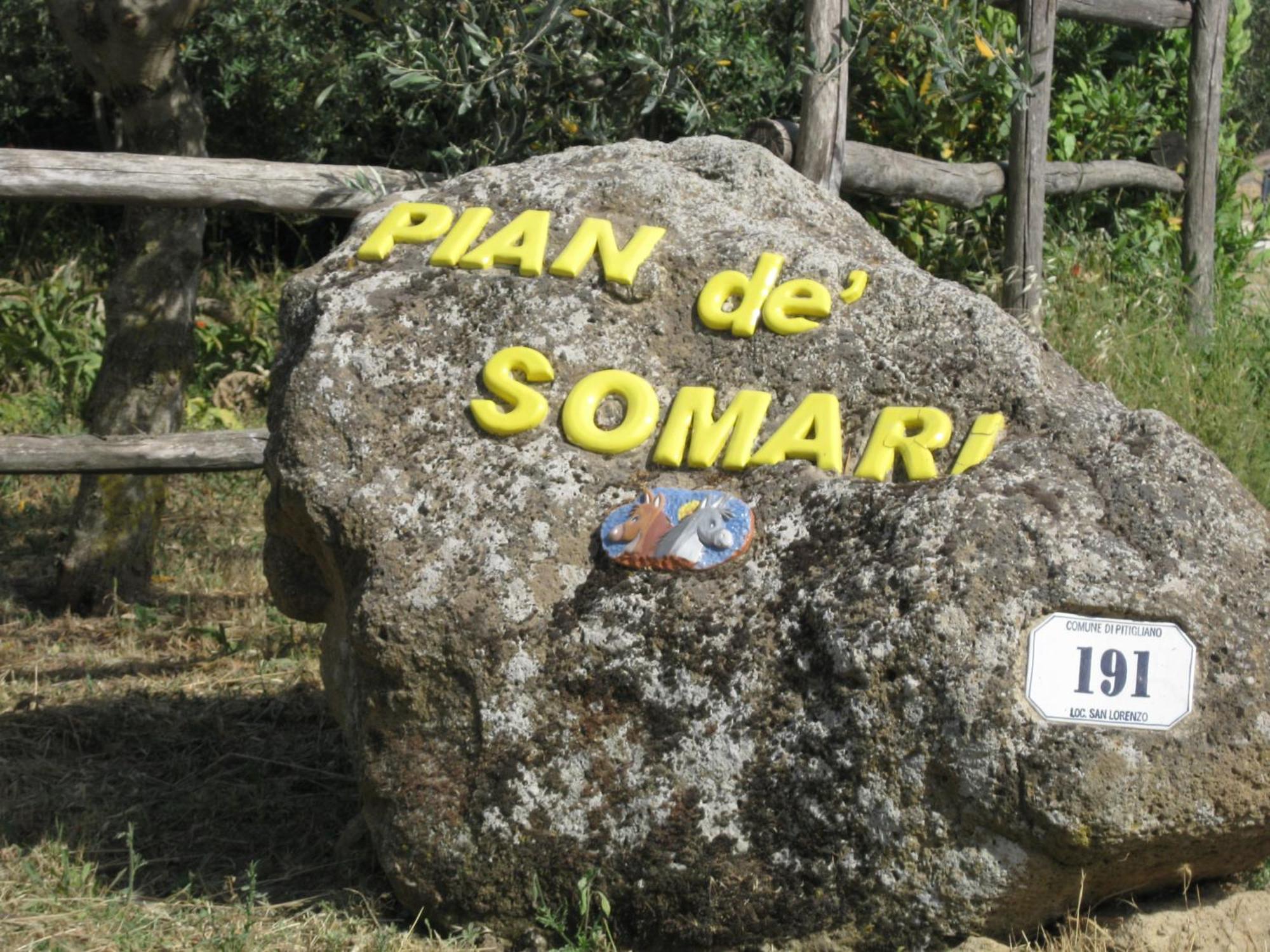 הוילה פיטיליאנו Pian De' Somari מראה חיצוני תמונה
